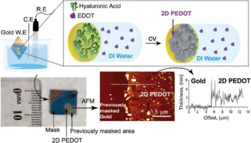 Technological research produces new category of conductive polymers. Graphical abstract. Credit: ACS Applied Materials and Interfaces.
