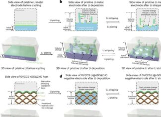 Nanoengineered electrode solves lithium-metal battery challenges. Credit: Nature Nanotechnology (2025)