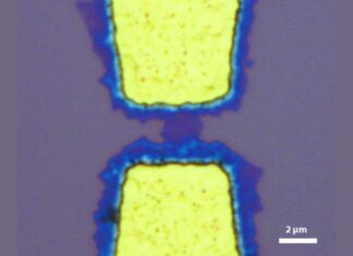 Transfer Free Growth Of 2D Semiconductors