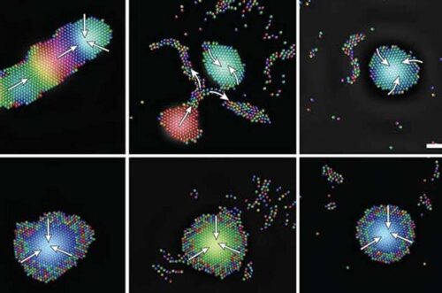 A new study led by Penn State researchers shows for the first time how sound waves could function as a means of controlling micro-sized robots. Credit: Igor Aronson / Penn State