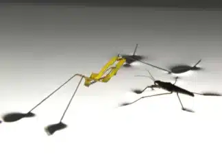 Representational image