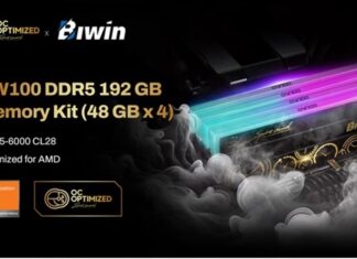 Biwin's new DDR5 RAM