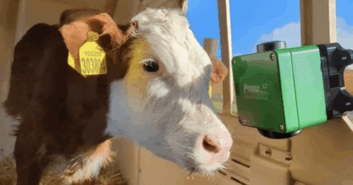 Image Credit: Pneumonitor