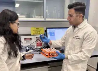 Saeed Askari and Parama Banerjee, from the Department of Chemical and Biological Engineering at Monash University.