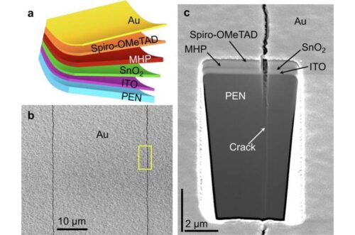 Substrate cracking in bent flexible PSCs. Credit: npj Flexible Electronics (2025). DOI: 10.1038/s41528-025-00470-z