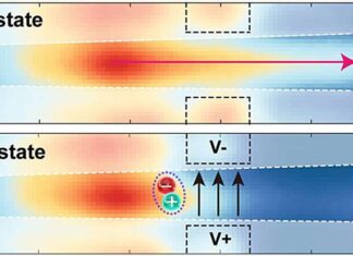 Nanoengineered optoexcitonic switch exhibits excellent electronic performance and reduces energy loss due to heating