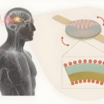 Injectable Antennas For Medical Implants