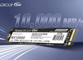 NV10000 M.2 PCIe 5.0 SSD