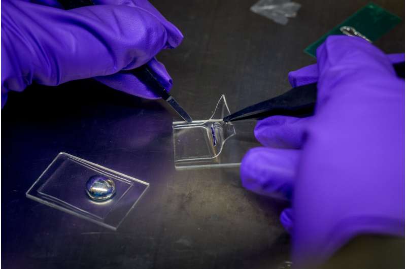 Advancement Enables Fully Stretchable OLEDs