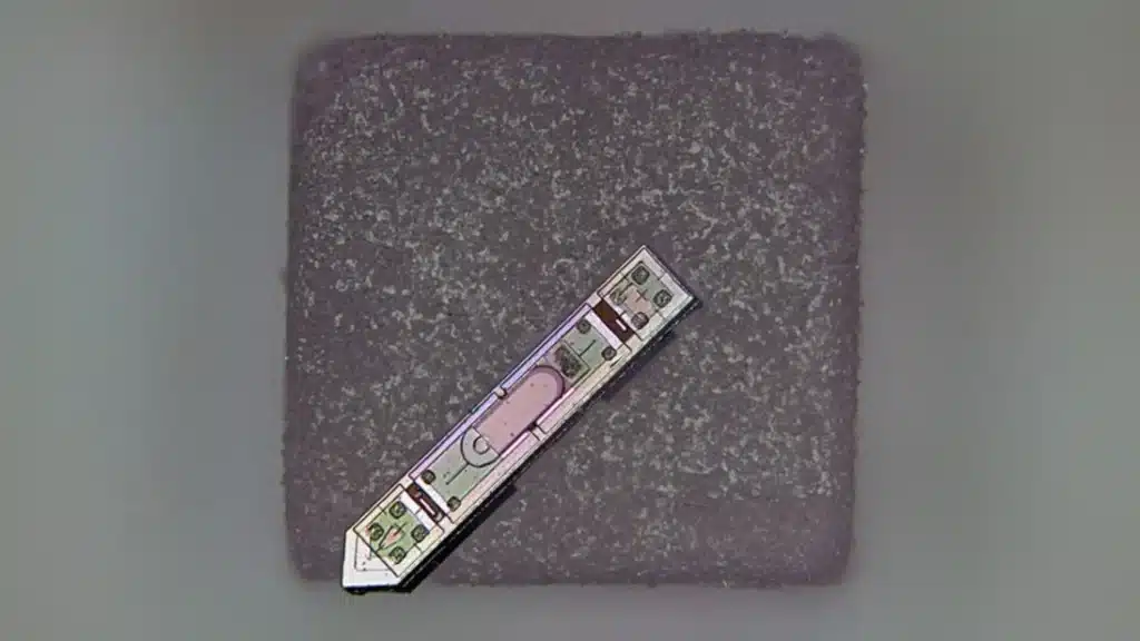 Cornell-developed neural implant small enough to sit atop a grain of salt.