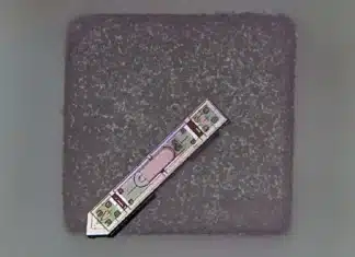 Cornell-developed neural implant small enough to sit atop a grain of salt.