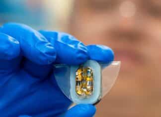 Magnetic Fields Boost Power In Soft Robots