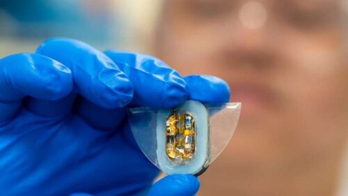 The magnetically actuated manta ray robot is equipped with flexible batteries, soft magnetic elastomer actuators and a lightweight hybrid circuit for sensing and wireless communication. Credit: College of Design and Engineering at NUS