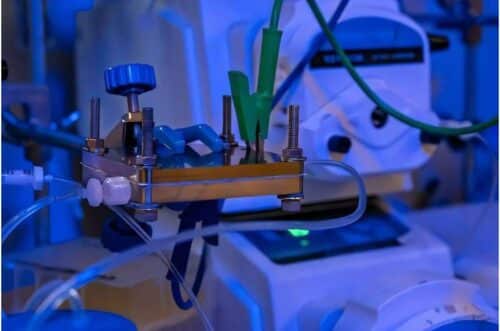 A photo of the electrochemical cell set-up in the Rice lab. Credit: Jorge Vidal / Rice University