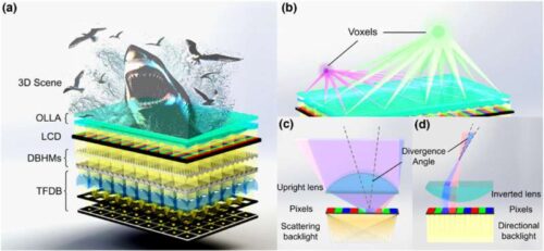 Overview of the proposed miniaturized-voxel light field display. (a) Architecture of the light field display system. The 3D display system consists of an ultra-slim and large-area TFDB, dual DBHMs, an LCD panel, and OLLA. The 3D scene of a shark breaching the ocean surface is presented. (b) Schematic of the voxel construction. The highly directional beam is redirected by the OLLA to form compact voxels. (c) and (d) Comparisons between the existing scattering-backlight-based 3D display and the proposed directional backlight-based 3D display. Credit: Optica (2025). DOI: 10.1364/optica.571647
