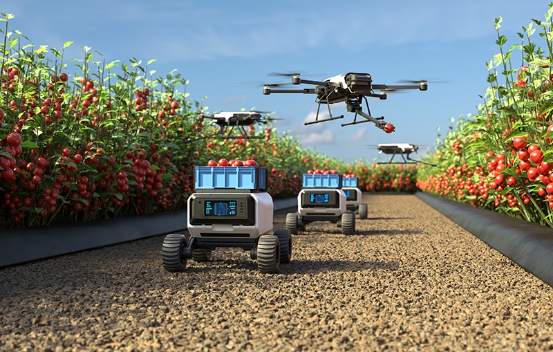 Are You Ready For 2026?