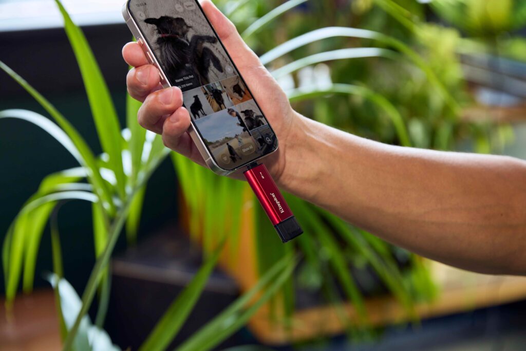 Kingston Launches Dual Portable SSD Storage Solution
