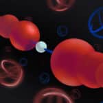 What Makes A Good Proton Conductor