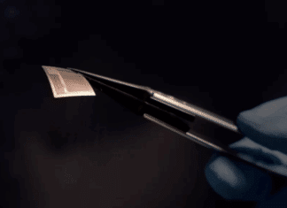 Thin Chip Reboots Brain Interfaces