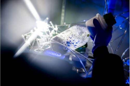 Credit: Matthew Modoono/Northeastern University