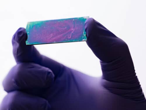 This is the two-dimensional thin film electric insulator designed in a University of Houston lab to make AI faster and reduce power consumption.