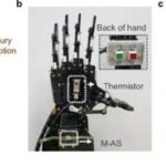Ultra Low Power Biodegradable Artificial Synapse