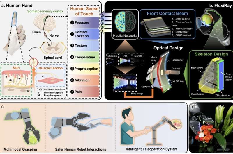 Soft Robots Gain Human-Level Touch