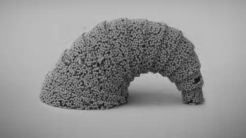Croissant-shaped 3D microstructure assembled from silicon dioxide.