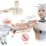 Robotic Skin With Built In Reflexes