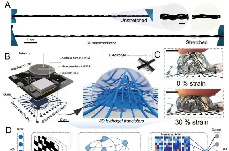 Soft 3D Transistors Host Cells