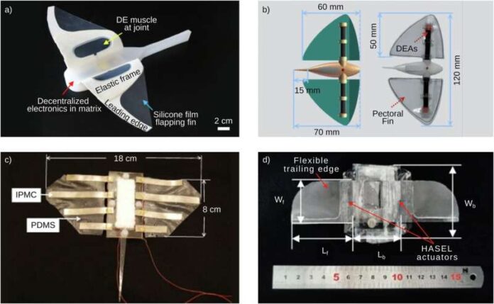 Bio-Inspired Underwater Robot Electronics - Electronics For You