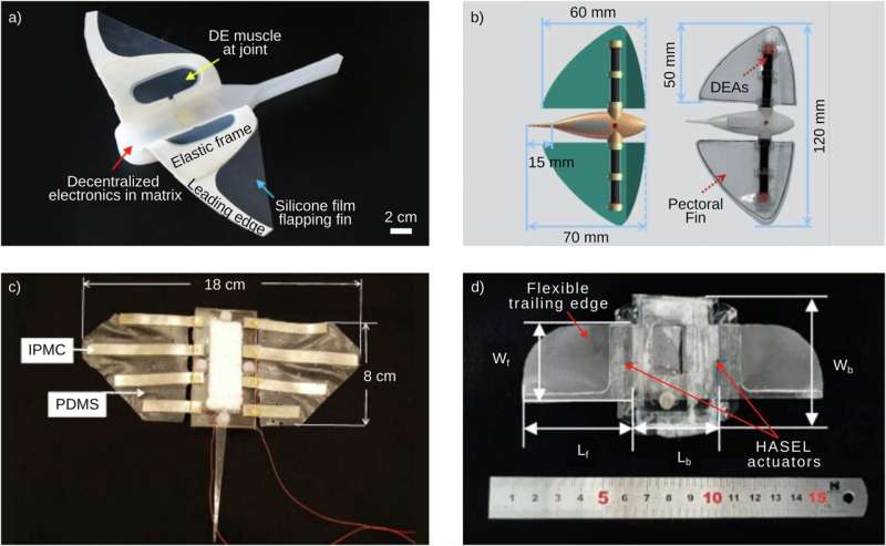 Bio-Inspired Underwater Robot Electronics