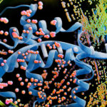 AI Chips Optimize Yeast Protein Coding