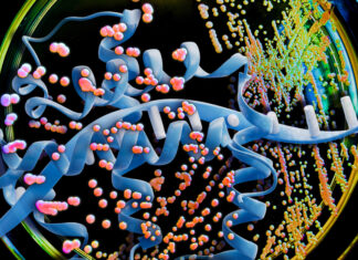 AI Chips Optimize Yeast Protein Coding