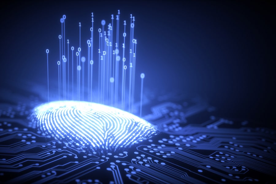 Twin-Fingerprints Chip For Crypto Security