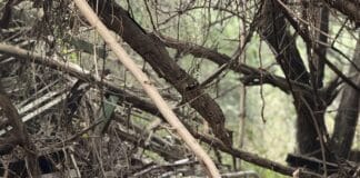 Category Template – Jobs