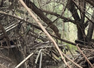 India’s Own Robot Inspectors Keep Workers Safe