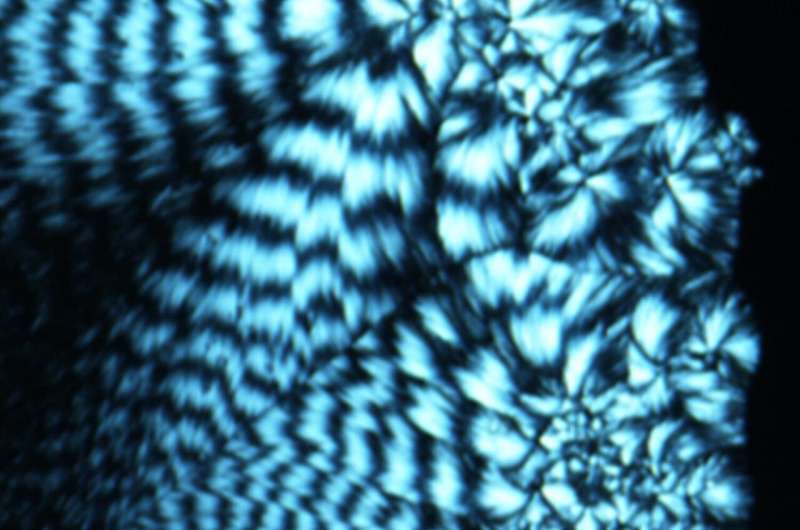 Bio-Semiconductor Memory Boost Electronics