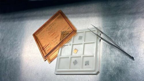 Credit: Chalmers University of Technology | Mia Halleröd Palmgren