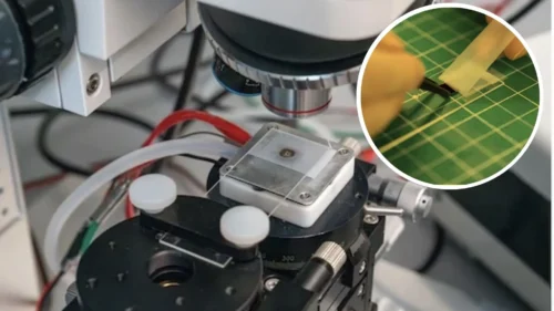 The approach can also be applied to other layered materials.
Jorge Vidal/Rice University