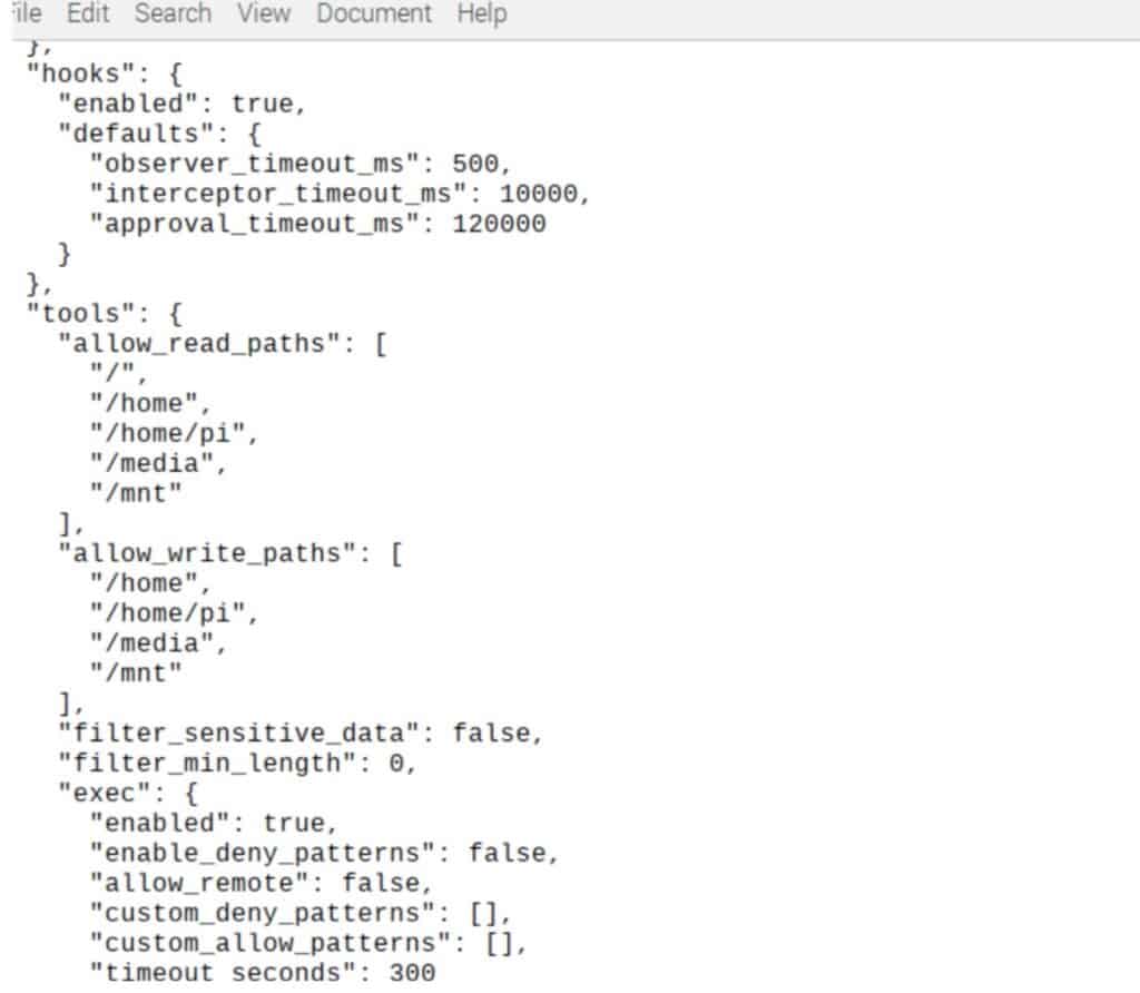 PicoClaw configuration permission to read and write folders and access the drive