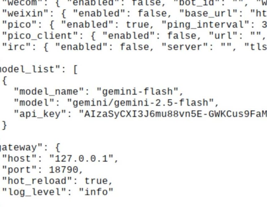 PicoClaw AI Agent configuring LLM model and API key 
