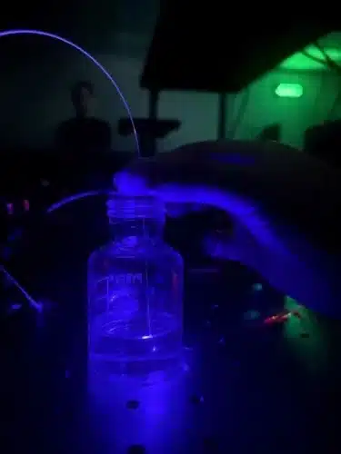 A fiber-optic probe with 3D micro-printed sensing structures is immersed in a liquid sample, where light-induced emission reveals changes in the chemical environment in real time. Image Credit: Adelaide University