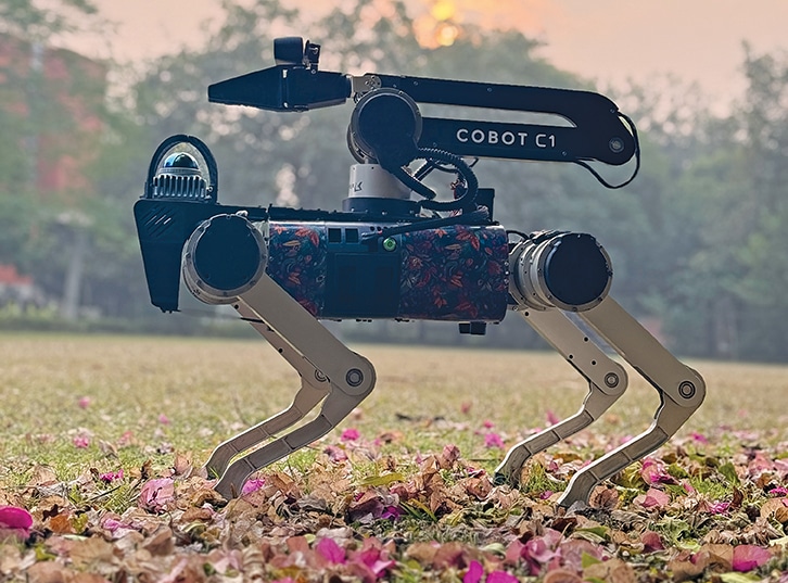 Four-Legged Robots That Can Move Across Any Terrain