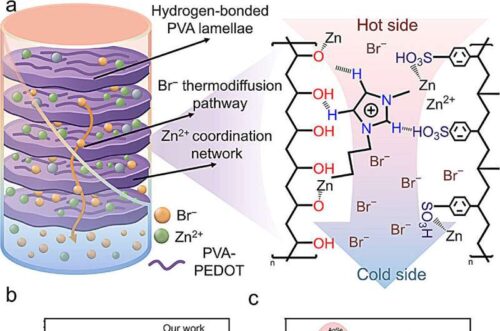 Structural architecture, thermodiffusion mechanism, and room-temperature thermoelectric benchmarking of the [BMIM]5[ZnBr]1 & PVA–PEDOT ionogel. Credit: Angewandte Chemie International Edition (2026). DOI: 10.1002/anie.4172130