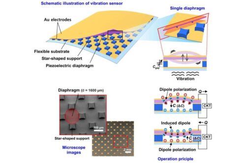 The sensor employs a piezoelectric material as the vibration diaphragm, enabling operation without an external power supply. The circular diaphragm is supported by four interlocking, star-shaped support layers that allow free airflow, facilitating hyperpacked sensor integration for accurate detection of even the faintest vibrations. Credit: POSTECH