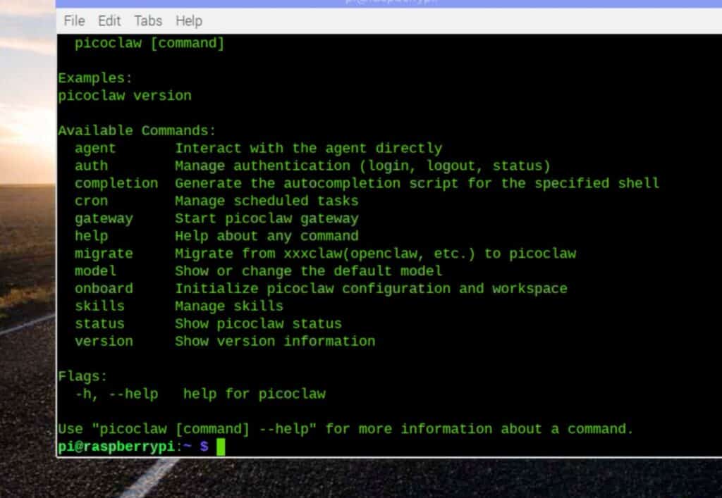 PicoClaw showing commands to get details about agents, skills, models, gateway, etc.
