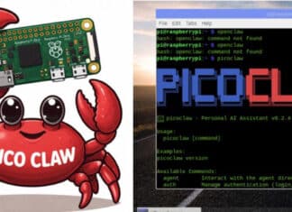Raspberry Pi PicoClaw Tutorial