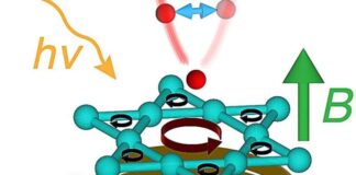 Category Template – Jobs