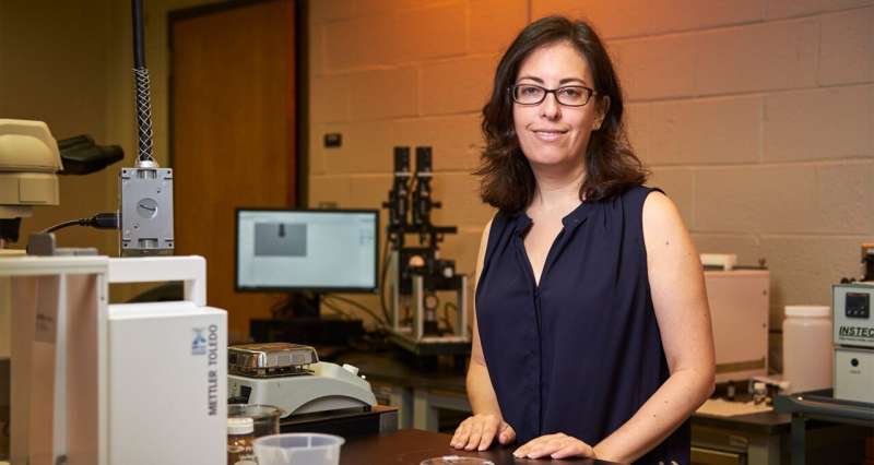 Gila Stein, Department of Chemical and Biomolecular Engineering Professor at the University of Tennessee, Knoxville. Credit: University of Tennessee